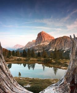 Contratación Pública