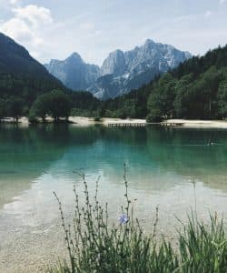 Ayudas y Subvenciones